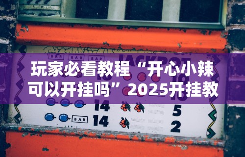 玩家必看教程“开心小辣可以开挂吗”2025开挂教程步骤