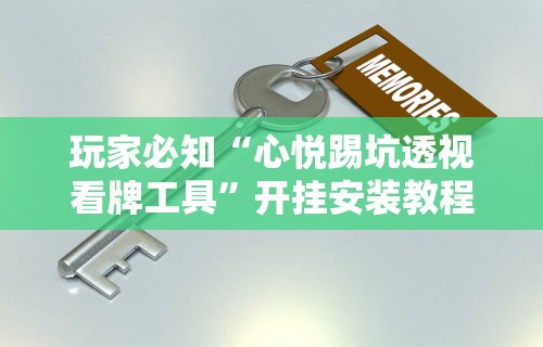 玩家必知“心悦踢坑透视看牌工具	”开挂安装教程