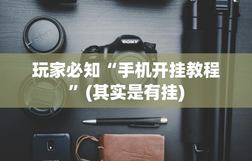 玩家必知“手机开挂教程”(其实是有挂)