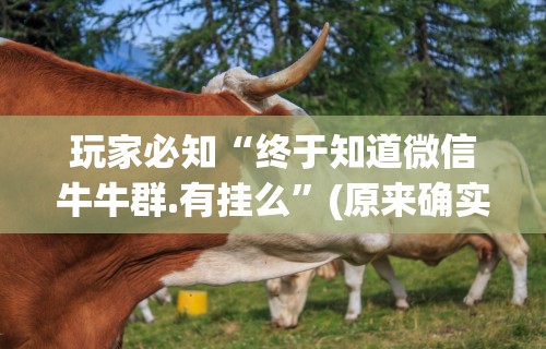 玩家必知“终于知道微信牛牛群.有挂么	”(原来确实是有插件)