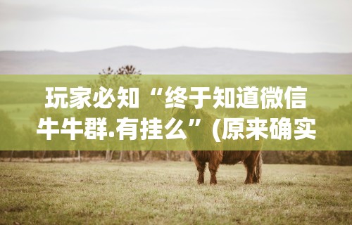 玩家必知“终于知道微信牛牛群.有挂么”(原来确实是有插件)