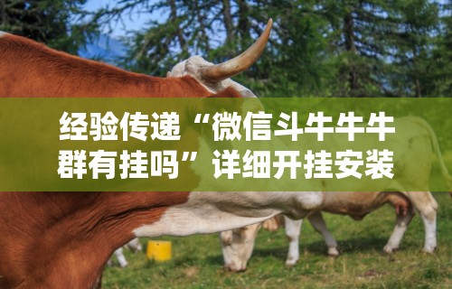 独家分析“喜扣跑胡子开挂效果如何”分享用挂教程