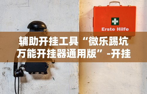 玩家必看教程“微乐亲友房通用挂”(透视)开挂辅助脚本+详细开挂安装教程