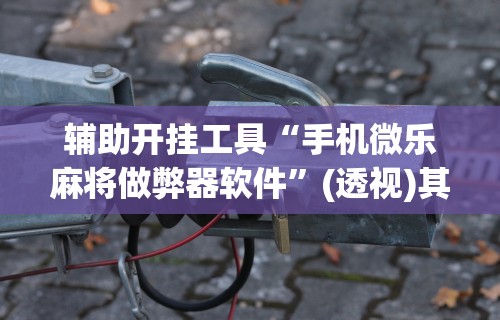 玩家必备攻略!卡丁娱乐辅助器试用版”附开挂脚本详细步骤