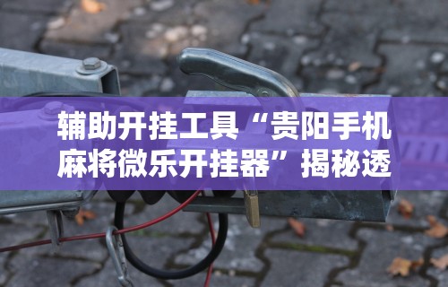 最新教程“微乐过炸怎么赢的几率大!专业师傅带你一起了解(确实有挂) 最新教程“微乐过炸怎么赢的几率大!专业师傅带你一起了解(确实有挂)