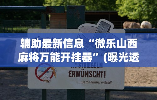 辅助最新信息“微乐山西麻将万能开挂器”(曝光透视必备猫腻)