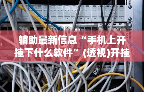 辅助最新信息“手机上开挂下什么软件	”(透视)开挂辅助脚本+详细开挂安装教程