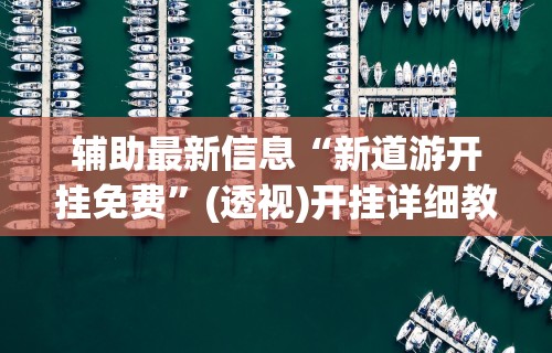 辅助最新信息“新道游开挂免费”(透视)开挂详细教程
