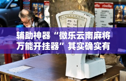 辅助神器“微乐云南麻将万能开挂器”其实确实有挂