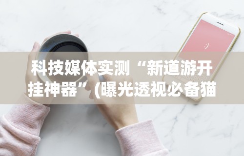 科技媒体实测“新道游开挂神器”(曝光透视必备猫腻)