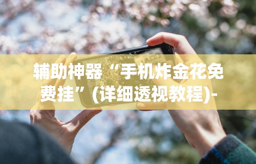 辅助神器“手机炸金花免费挂	”(详细透视教程)-