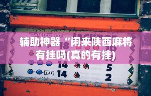 辅助神器“闲来陕西麻将有挂吗(真的有挂)