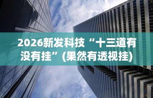 2026新发科技“十三道有没有挂	”(果然有透视挂)