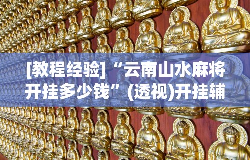 [教程经验]“云南山水麻将开挂多少钱”(透视)开挂辅助脚本+详细开挂安装教程