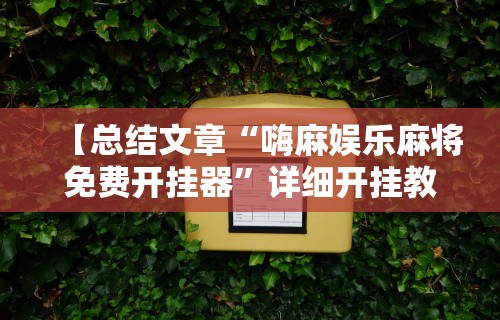 【总结文章“嗨麻娱乐麻将免费开挂器”详细开挂教程