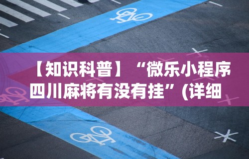 2026最新一代“十三张辅助器ios”附开挂脚本详细步骤