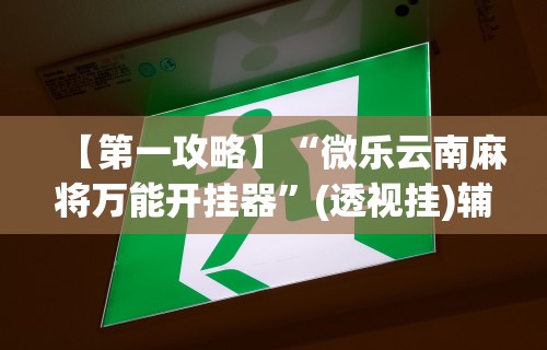 【第一攻略】“微乐云南麻将万能开挂器”(透视挂)辅助透视教程