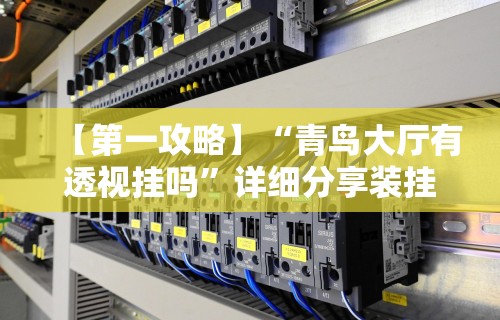 【第一攻略】“青鸟大厅有透视挂吗	”详细分享装挂