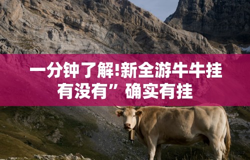 一分钟了解!新全游牛牛挂有没有”确实有挂