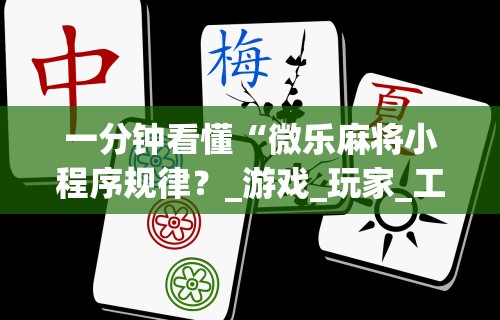 玩家必看教程“微乐小程序开挂教程视频	”(详细辅助脚本)