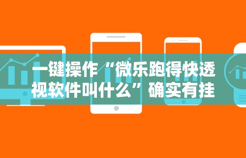 秒懂经验“喜乐填大坑挂	”(果然有透视挂)