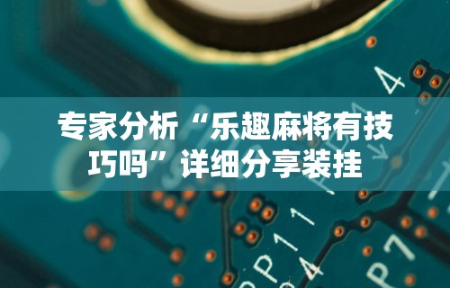 专家分析“乐趣麻将有技巧吗”详细分享装挂