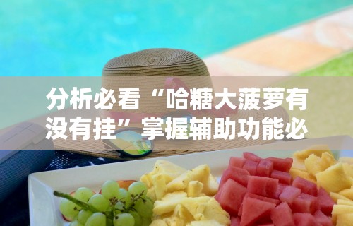 分析必看“哈糖大菠萝有没有挂	”掌握辅助功能必胜规则