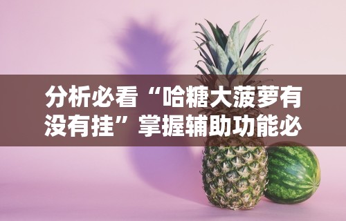 分析必看“哈糖大菠萝有没有挂”掌握辅助功能必胜规则