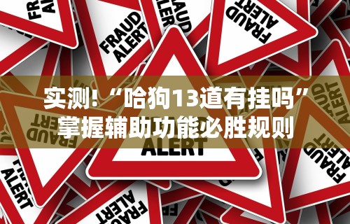 实测!“哈狗13道有挂吗”掌握辅助功能必胜规则