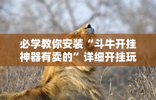 必学教你安装“斗牛开挂神器有卖的	”详细开挂玩法