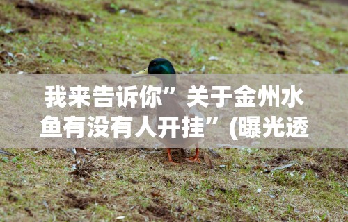 我来告诉你”关于金州水鱼有没有人开挂	”(曝光透视必备猫腻)
