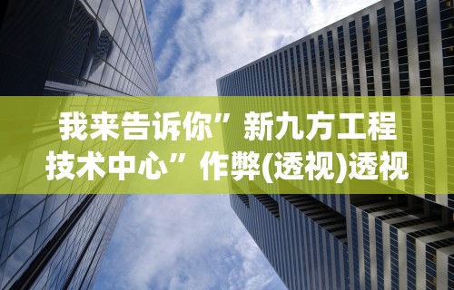 我来告诉你”新九方工程技术中心	”作弊(透视)透视辅助