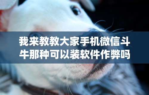 我来教教大家手机微信斗牛那种可以装软件作弊吗？(透视)”开挂(透视)辅助教程