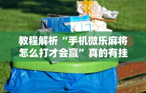 教程解析“手机微乐麻将怎么打才会赢”真的有挂
