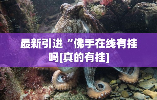 最新引进“佛手在线有挂吗[真的有挂]