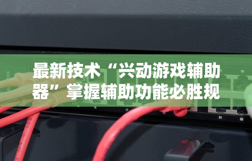 详细分享“手机上打十三水怎么才能赢”附开挂脚本详细教程