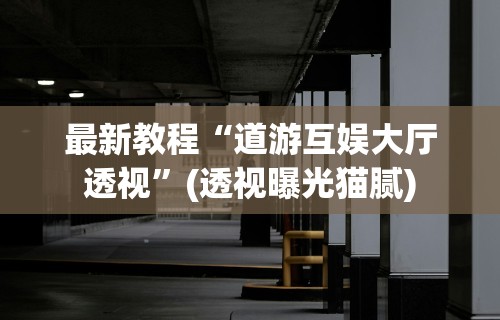 最新教程“道游互娱大厅透视”(透视曝光猫腻)