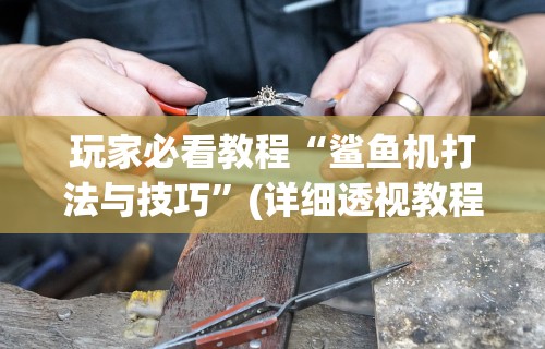 玩家必看教程“鲨鱼机打法与技巧”(详细透视教程)