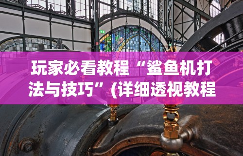 玩家必看教程“鲨鱼机打法与技巧	”(详细透视教程)