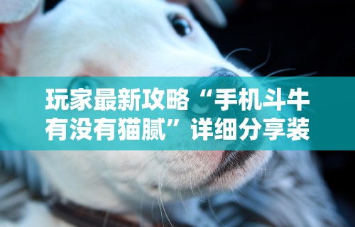 玩家最新攻略“手机斗牛有没有猫腻”详细分享装挂