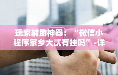 玩家辅助神器：“微信小程序家乡大贰有挂吗”-详细教程