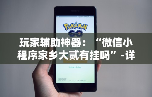 玩家辅助神器：“微信小程序家乡大贰有挂吗”-详细教程