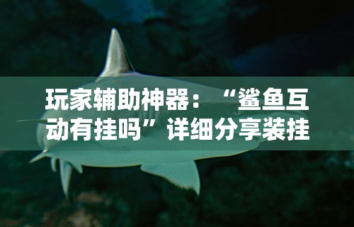 玩家辅助神器：“鲨鱼互动有挂吗”详细分享装挂步骤教程