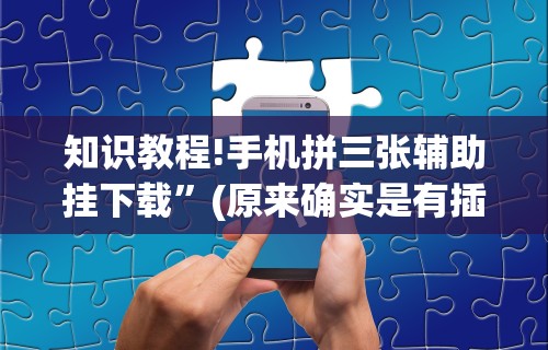 知识教程!手机拼三张辅助挂下载”(原来确实是有插件)