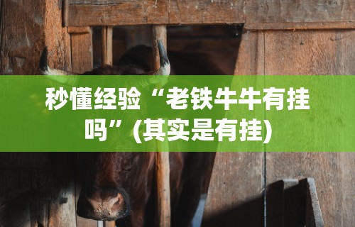 秒懂经验“老铁牛牛有挂吗	”(其实是有挂)