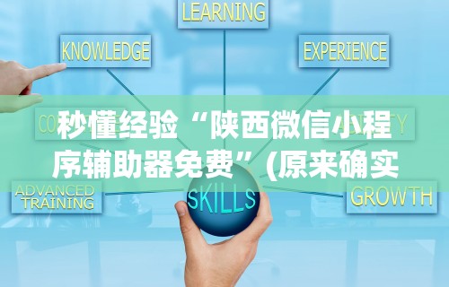 秒懂经验“陕西微信小程序辅助器免费	”(原来确实是有挂)
