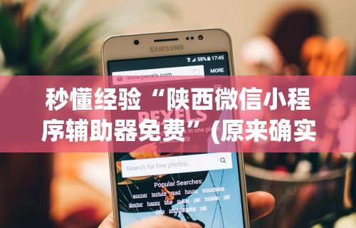 秒懂经验“陕西微信小程序辅助器免费	”(原来确实是有挂)