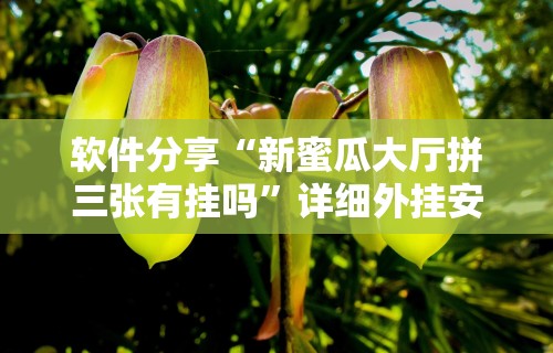 软件分享“新蜜瓜大厅拼三张有挂吗”详细外挂安装步骤
