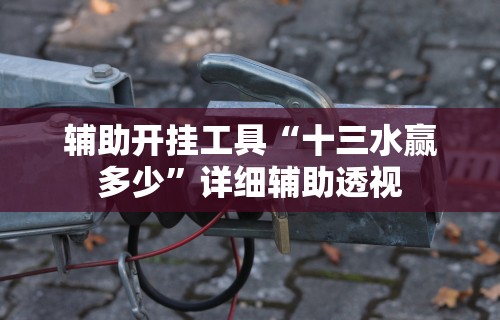 辅助开挂工具“十三水赢多少	”详细辅助透视