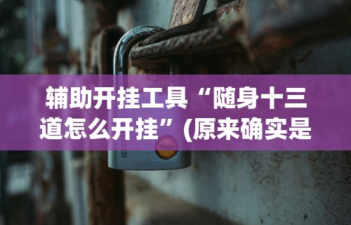 辅助开挂工具“随身十三道怎么开挂”(原来确实是有挂)